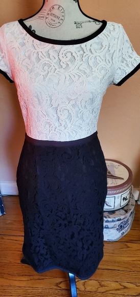 #374 3/$33 Ann Taylor - Picture 1 of 3